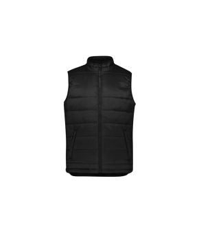 Alpine Mens Vest